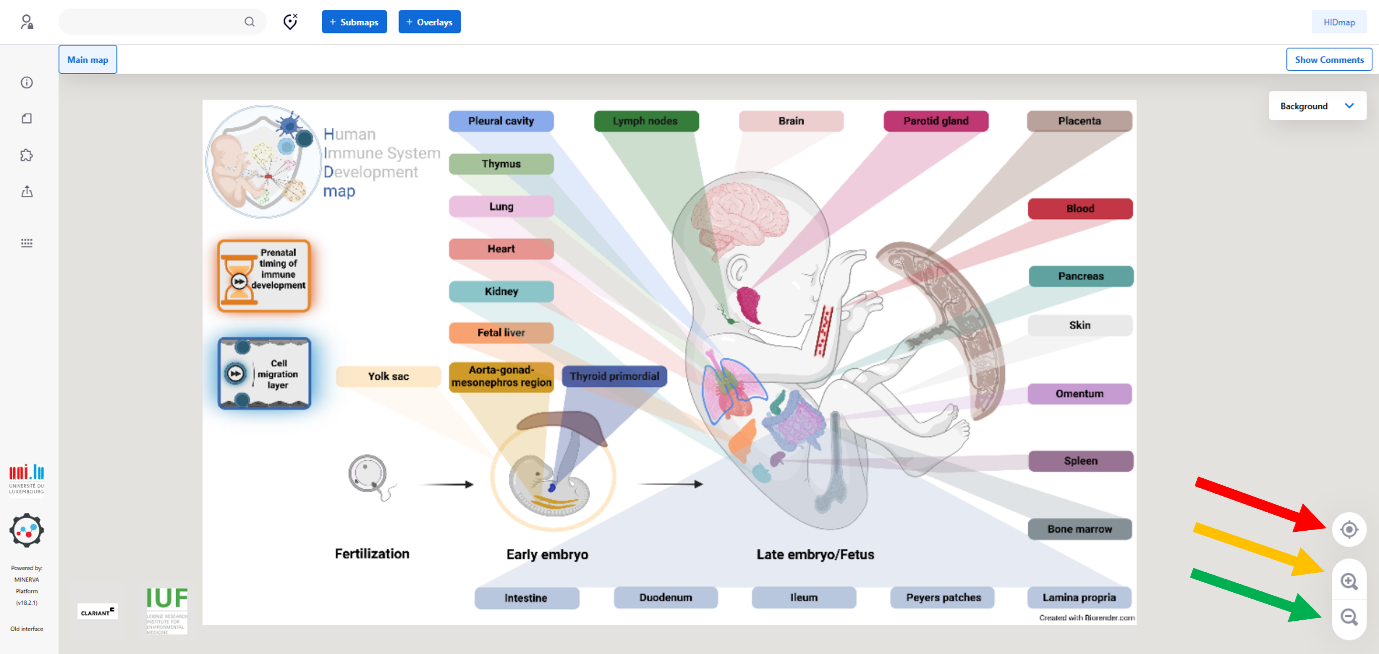 pan and zoom figure4
