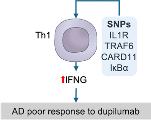 app2_1
