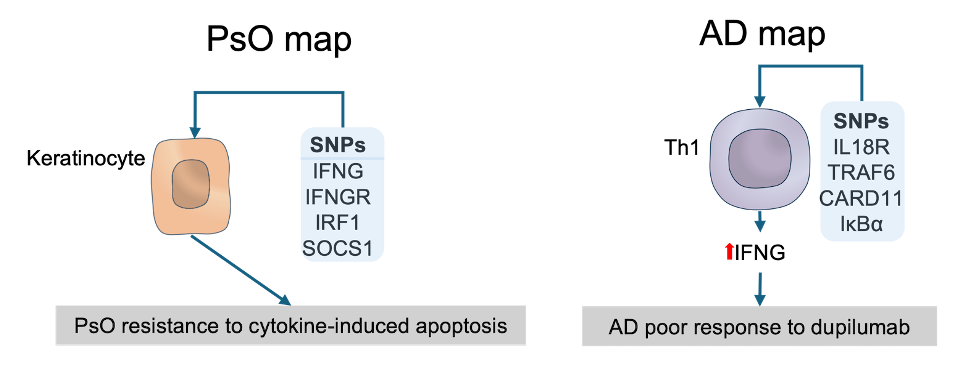 app2_3a