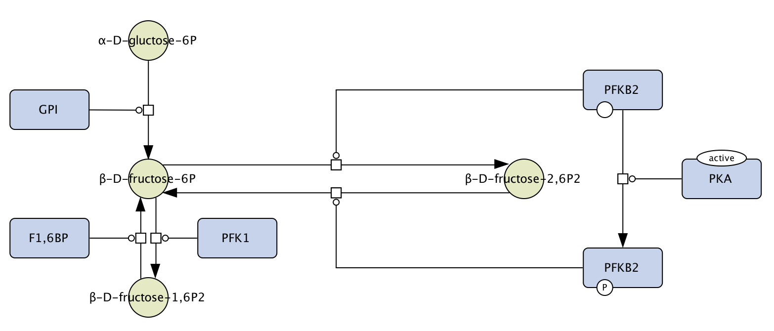 glycolysis-cd